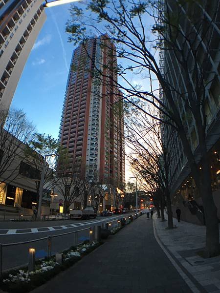 ▌東京 Day2 ▌散步六本木 : 六本木之丘、毛利庭園、朝