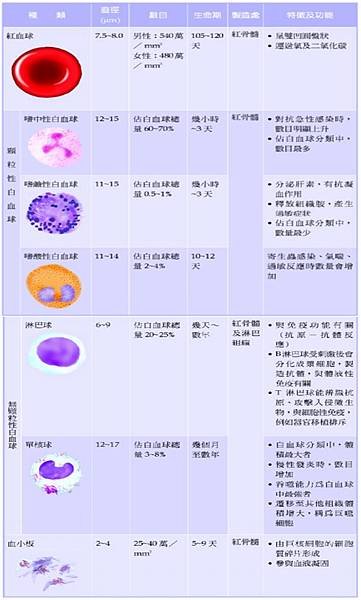 blood-blood cell funtion.tif