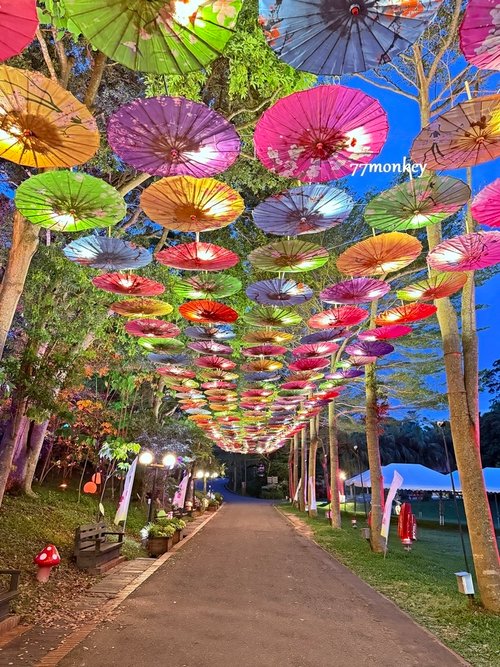 49苗栗旅遊。西湖渡假村。苗栗住宿推薦。中部旅遊。中部景點。親子景點。恐龍。桐花。螢火蟲.JPG