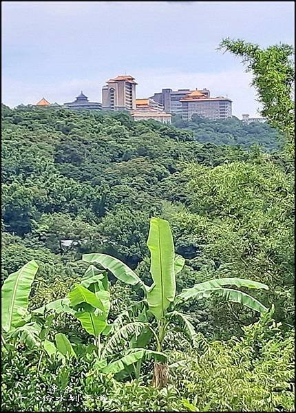 2023十八份步遁櫻花_029.jpg