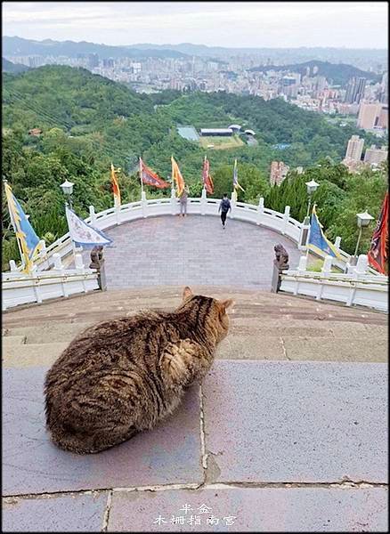 木柵指南宮_016.jpg