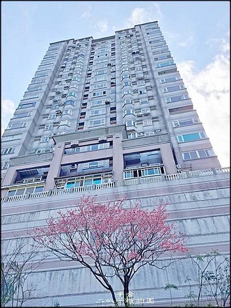二叭子植物園賞櫻_051.jpg