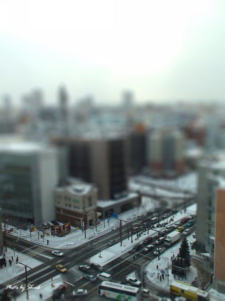 DSC00555-tiltshift副本.jpg