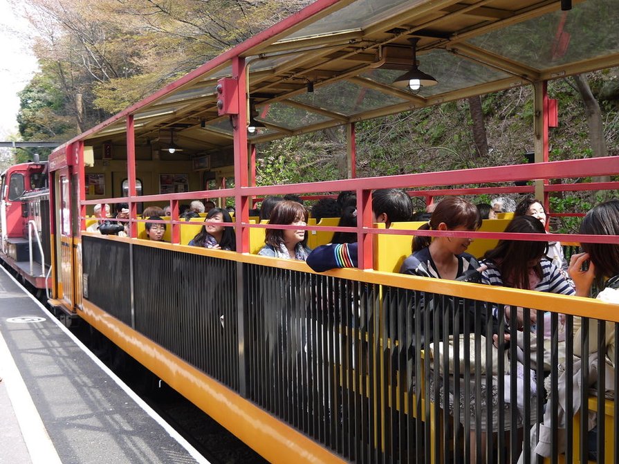 【京都 嵐山】《大阪/京都到嵐山》交通｜嵯峨野小火車之旅｜《