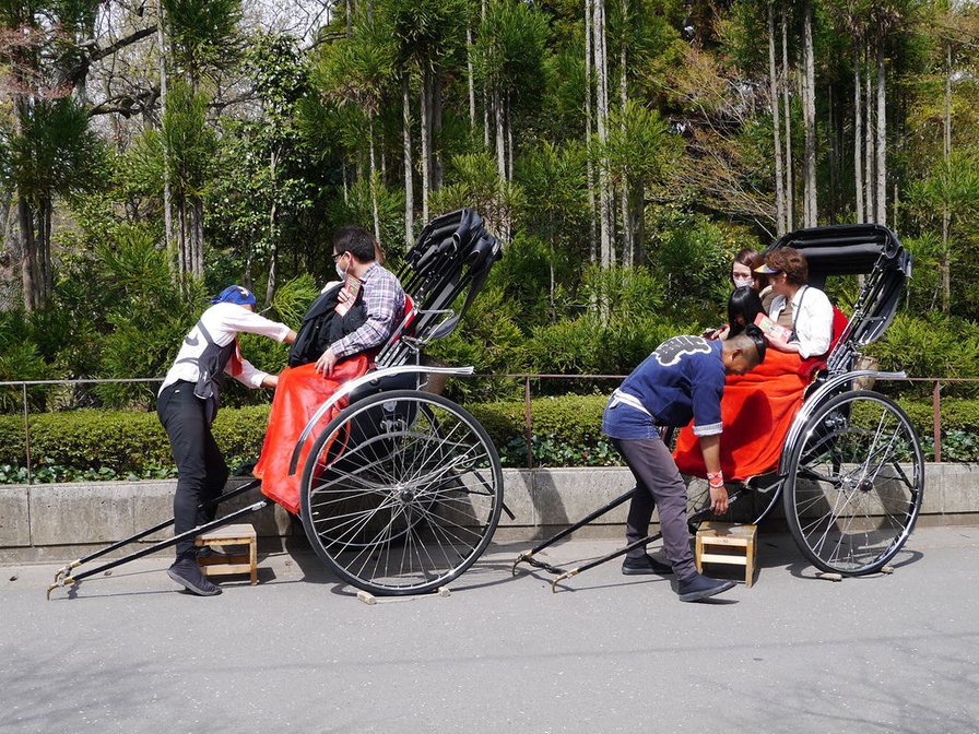 【京都 嵐山】《大阪/京都到嵐山》交通｜嵯峨野小火車之旅｜《