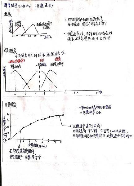 1-2.jpg