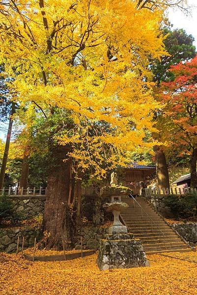 雷神社(5)