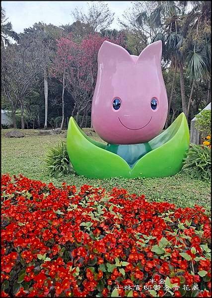 2025士林官邸鬱金香花展_015.jpg