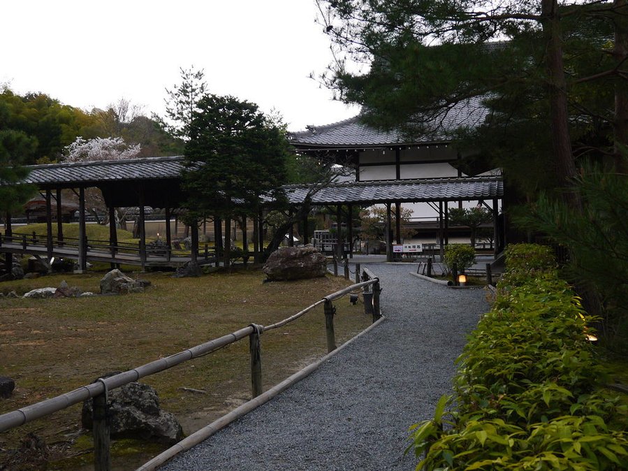 P1090475.JPG