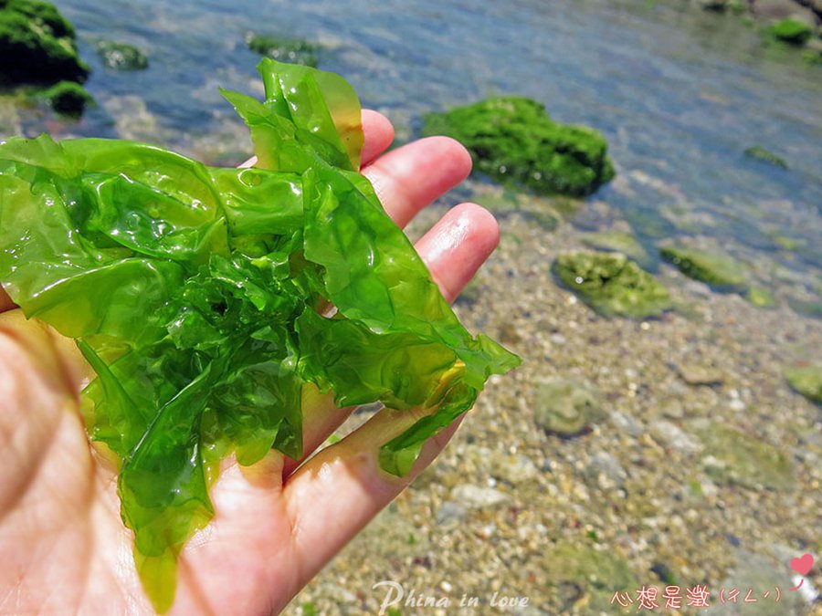 012人魚空間電影不能說的秘密場景海灘000 (2) -1拷貝.jpg