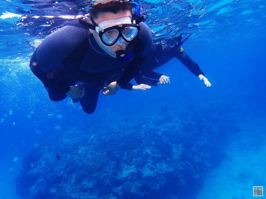 My Diving 浮潛潛水646.JPG