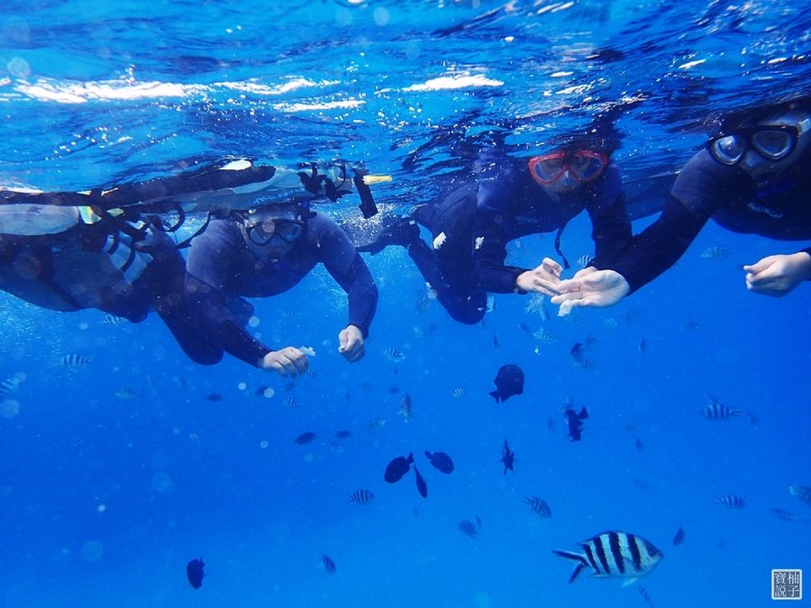 My Diving 浮潛潛水652.JPG