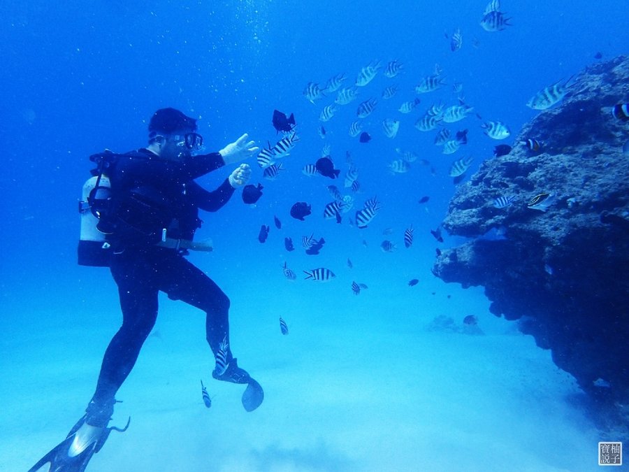 My Diving 浮潛潛水708.JPG