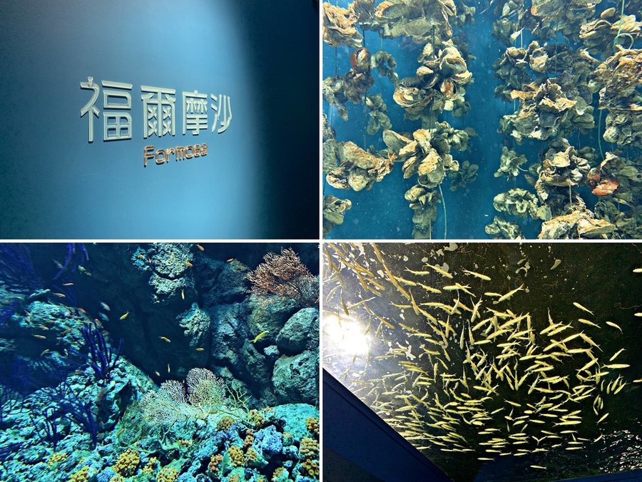福爾摩沙區