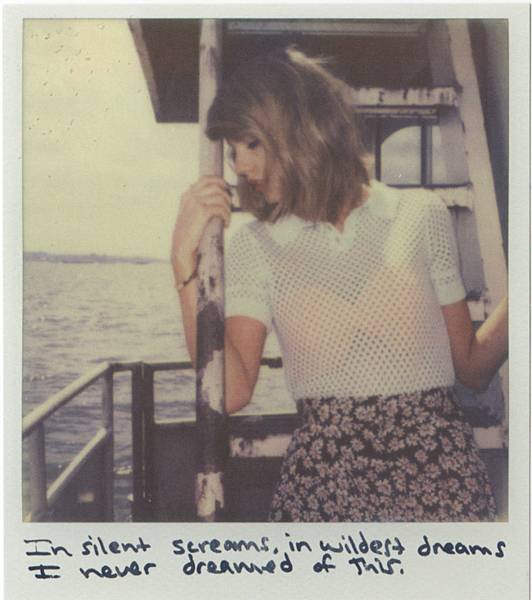 In silent dreams, in wildest dreams. I never dreamed of this