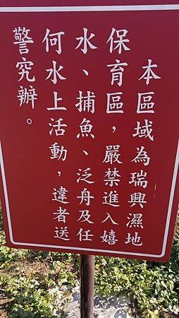 [桃園旅遊]大漢溪最大的水岸綠廊就在瑞興濕地，全國水環境改善