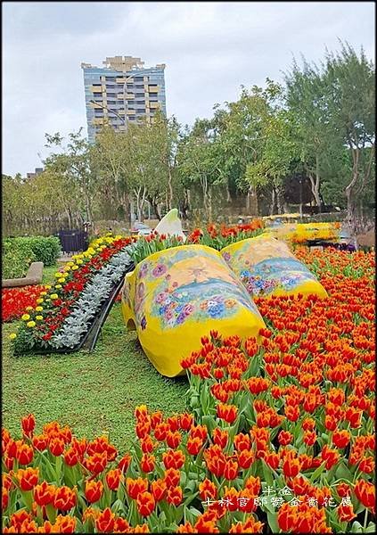 2025士林官邸鬱金香花展_010.jpg