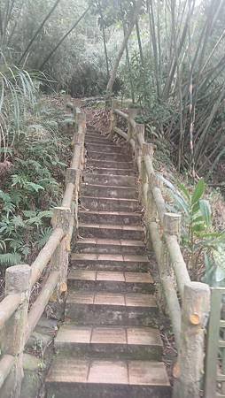 [新竹旅遊]城市知名旅遊地點的高峰植物園，有三百多種植物種類