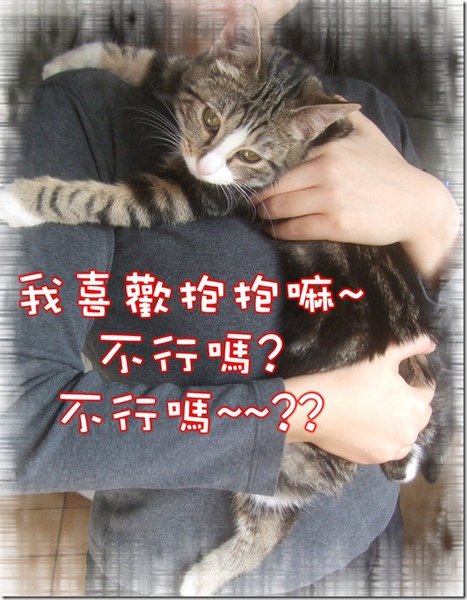DSCF6747