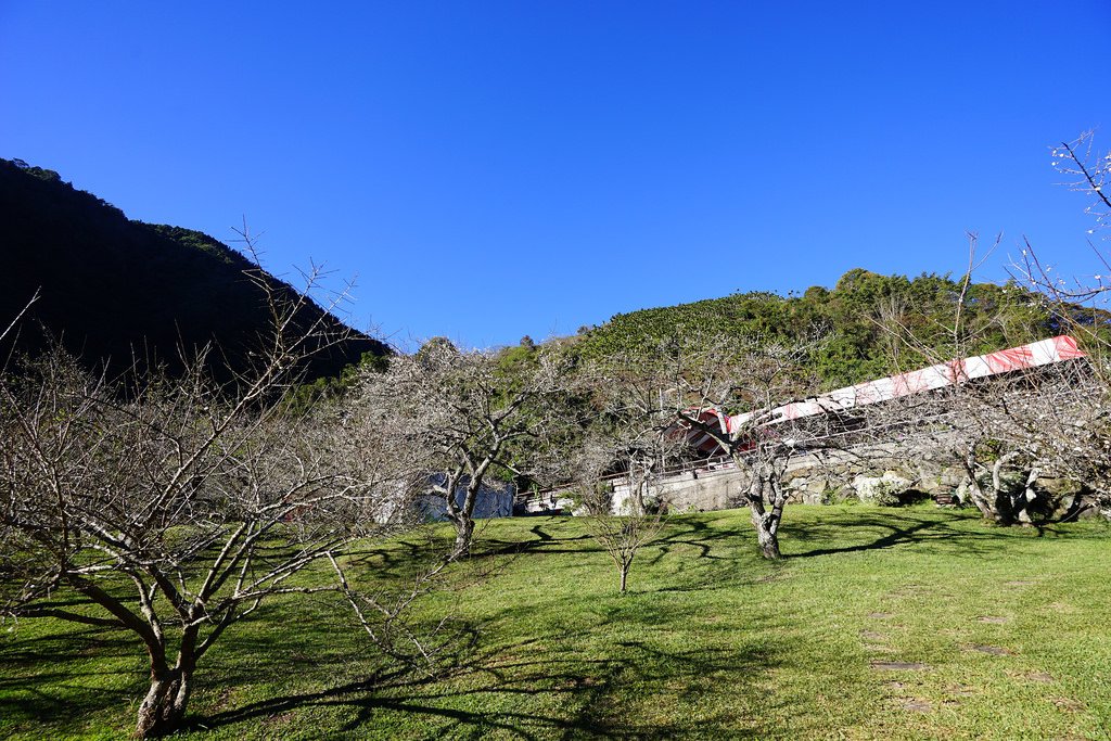 柳家梅園