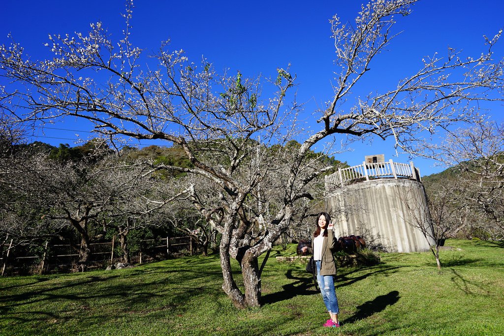 柳家梅園