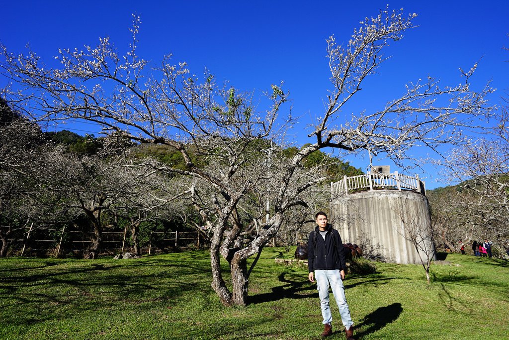 柳家梅園