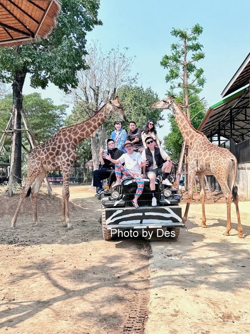 【遊記】泰國．大城．大城獅子動物園(體驗泰國最夯與動物合照親