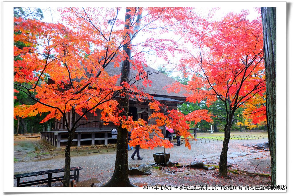 毛越寺-035