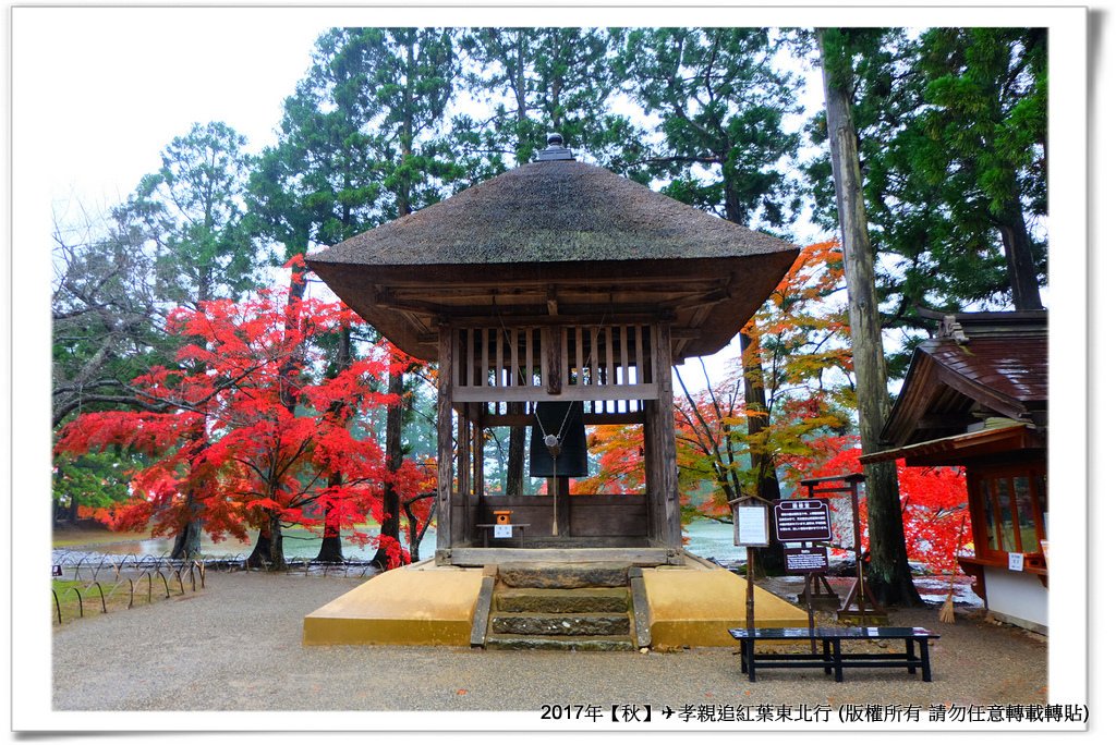 毛越寺-037