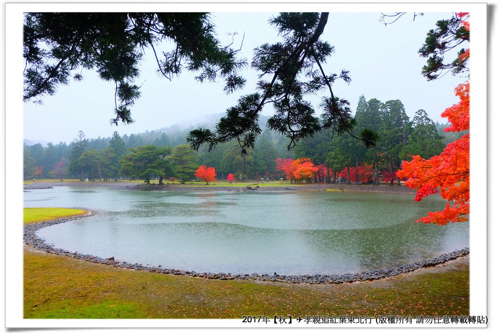 毛越寺-038