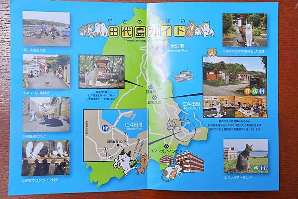 【日本｜宮城】全日本最大漫畫集散地 &amp; 貓比人多的秘境貓島 