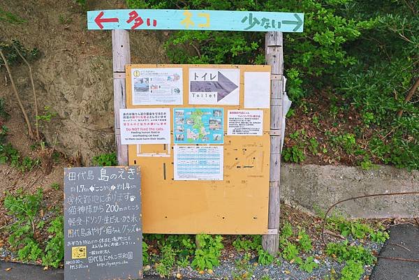 【日本｜宮城】全日本最大漫畫集散地 &amp; 貓比人多的秘境貓島 