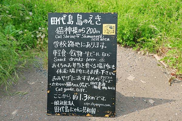 【日本｜宮城】全日本最大漫畫集散地 &amp; 貓比人多的秘境貓島 