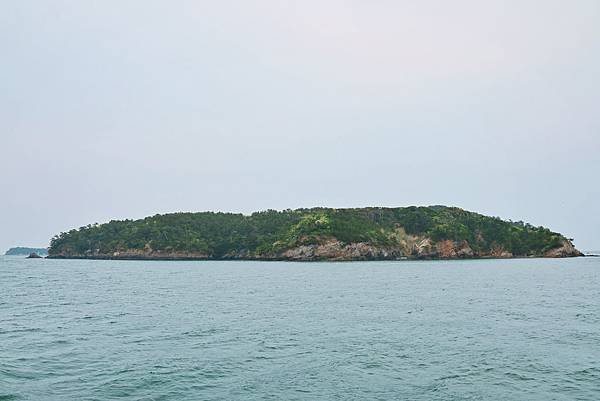 【日本｜宮城】全日本最大漫畫集散地 &amp; 貓比人多的秘境貓島 