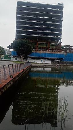 [新北旅遊]板橋區遠東通訊園區內生態南公園，給人寧靜、生態豐
