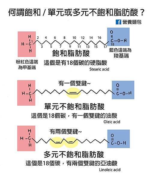 飽和，單元及多元不飽和脂肪酸.jpg