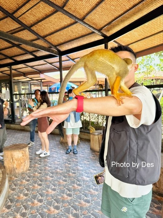 【遊記】泰國．大城．大城獅子動物園(體驗泰國最夯與動物合照親