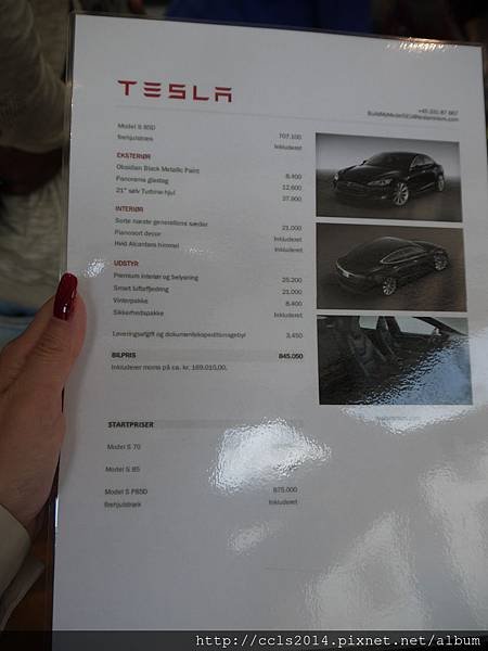tesla denmark (8)