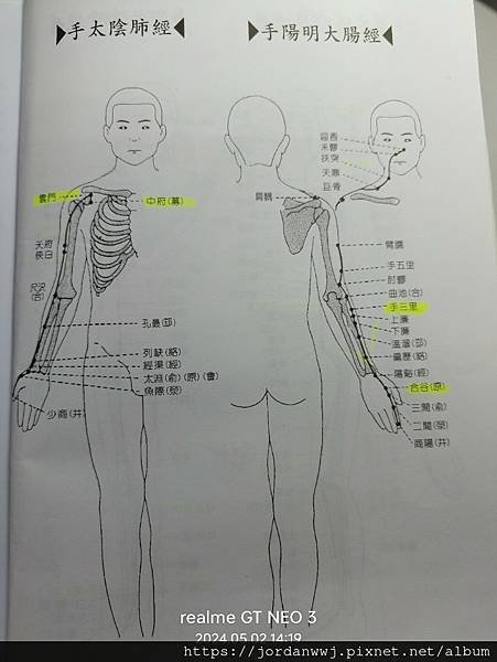 01-【十二經脈流】與【臟腑】時辰流注關係【速記圖】

 
