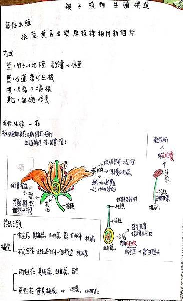 新建檔案 2019-09-01 17.13.28_2.jpg