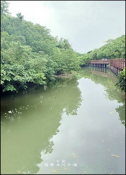 舊雙溪河步道_033.jpg