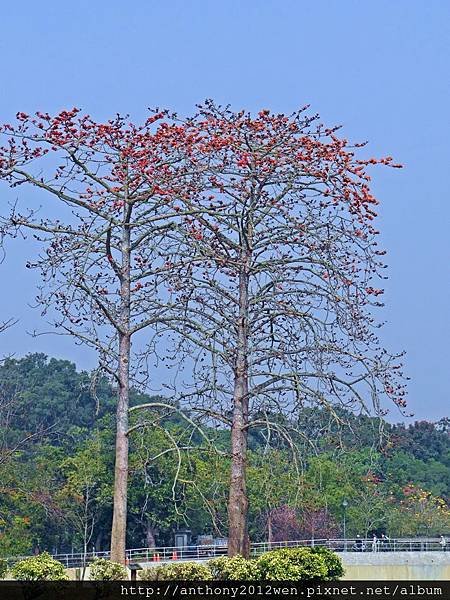 DSC01661