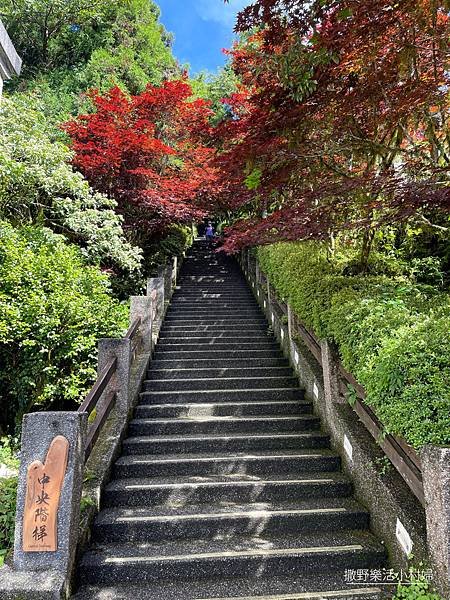 坐擁太平山無敵美景《雲海咖啡廳》海拔2000公尺猶如天上人間