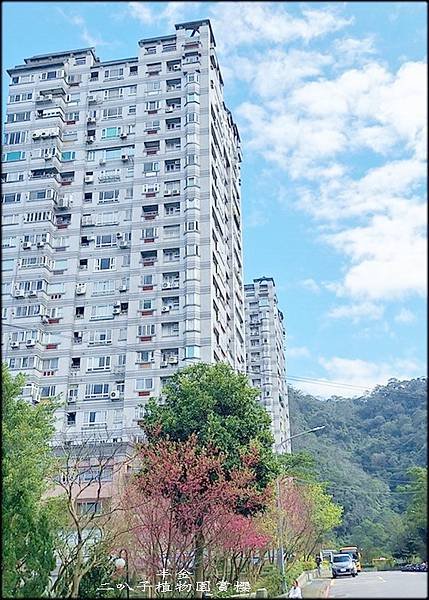二叭子植物園賞櫻-1_012.jpg