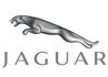 jaguar.jpg