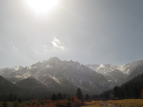 IMG_0575.JPG