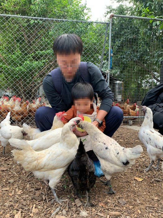 [親子] 隨野家．生活 暖雞中的小蛋農 ：食農教育 x 農事