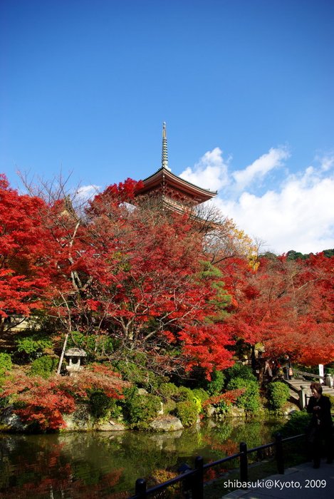 20091126_Kyoto-256_清水寺_2.jpg