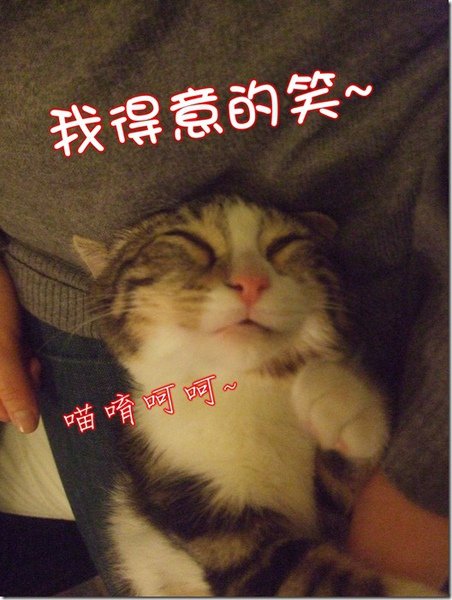 DSCF6760