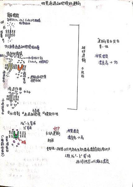 新建檔案 2019-08-22 10.35.11_1.jpg